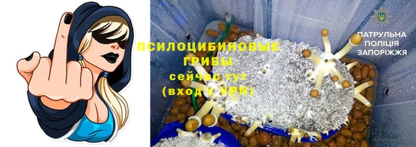 спайс Абаза