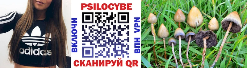 Галлюциногенные грибы мицелий  купить наркоту  Партизанск 